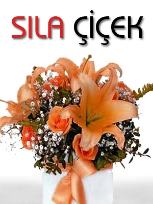 S�la �i�ek