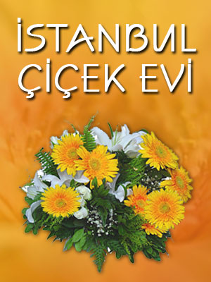 �stanbul �i�ekevi